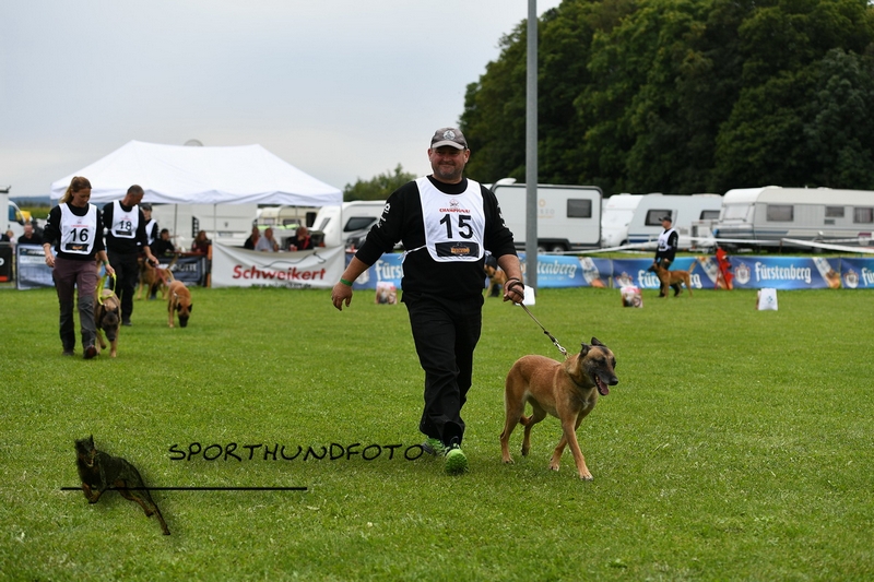 Impressionen 667.jpg